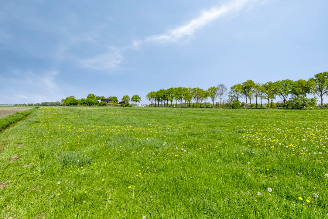 Foto 46 van Nieuwediep 50