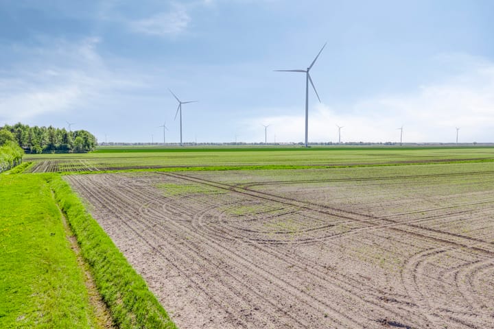 Photo 47 of Nieuwediep 50