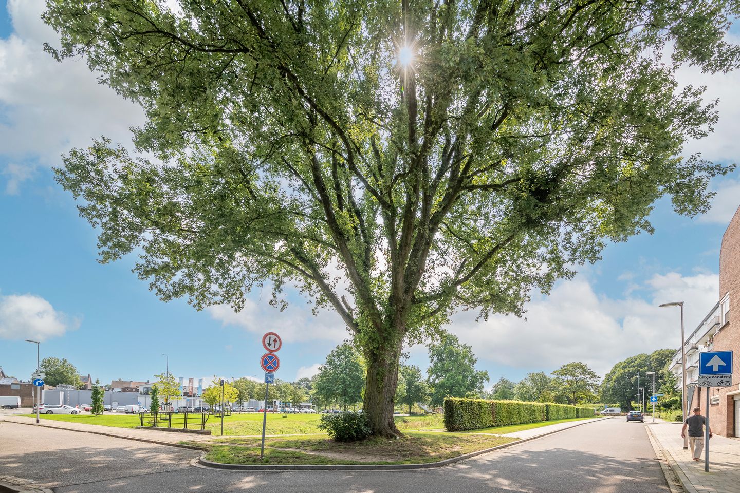 Foto 14 van Drieschstraat 38