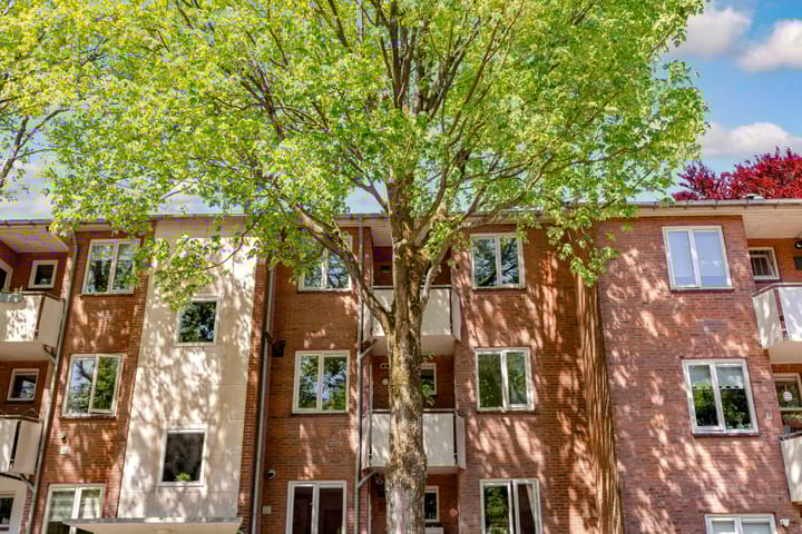 Foto 2 van Van Tetslaan 45