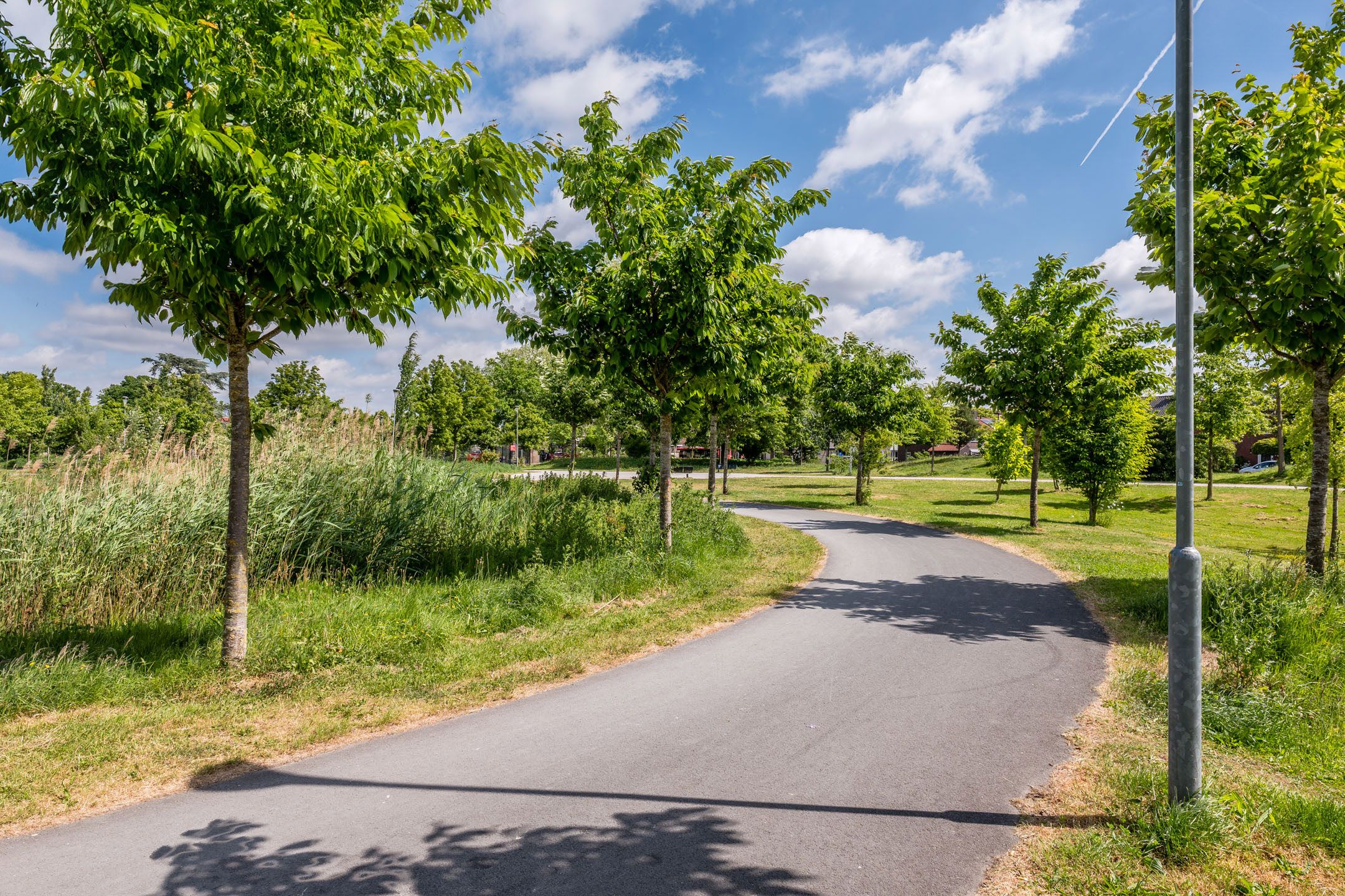 Foto 48 van Notaris Mulderstraat 14