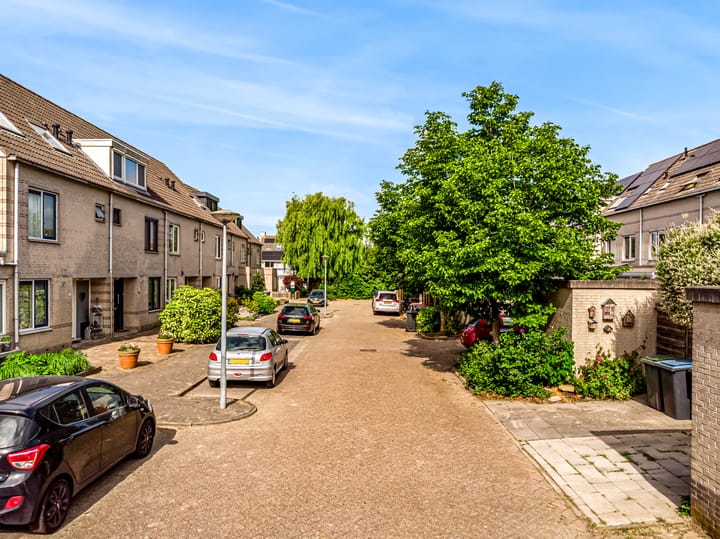 Foto 2 van Kuifmees 63