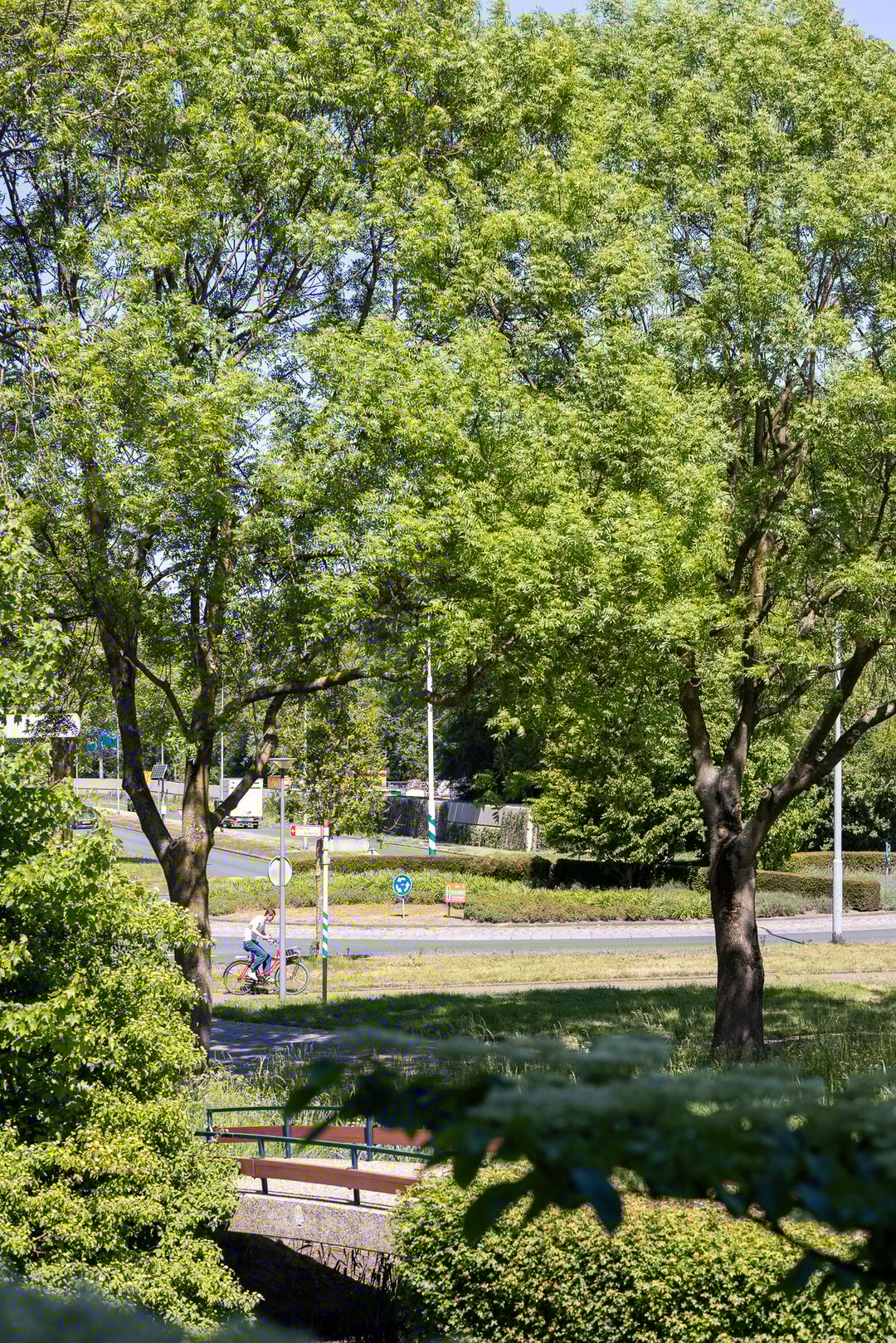 Foto 22 van Jupiterstraat 208