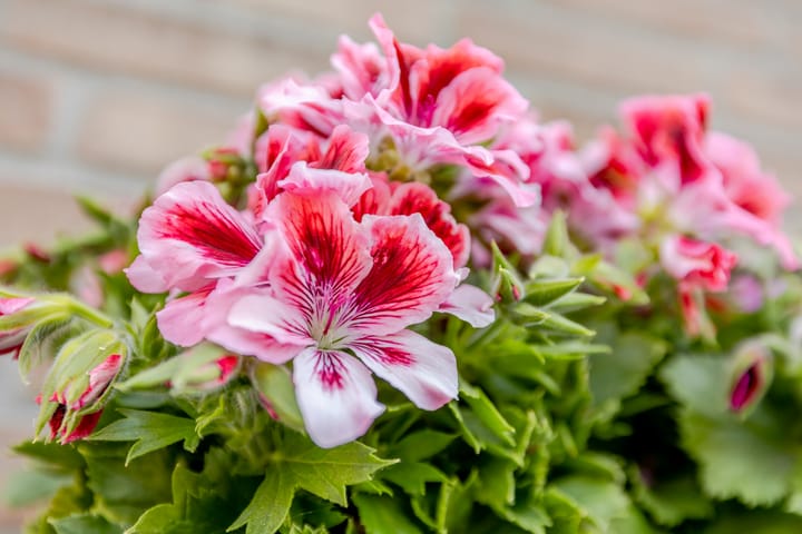 Photo 42 of Markerkade 15