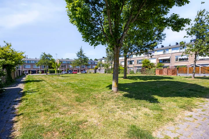 Photo 40 of Galjoen 30