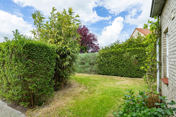 Foto 35 van Doniapark 106