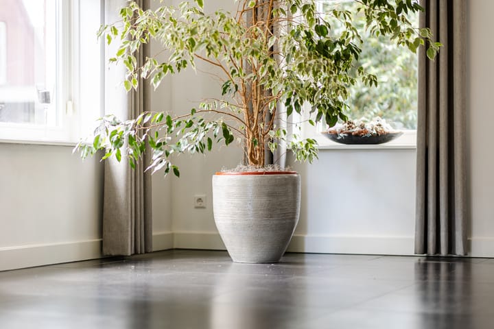 Foto 18 van Dahliastraat 42