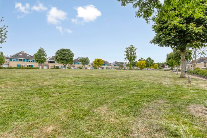 Foto 38 van Theo Mann-Bouwmeesterstraat 72