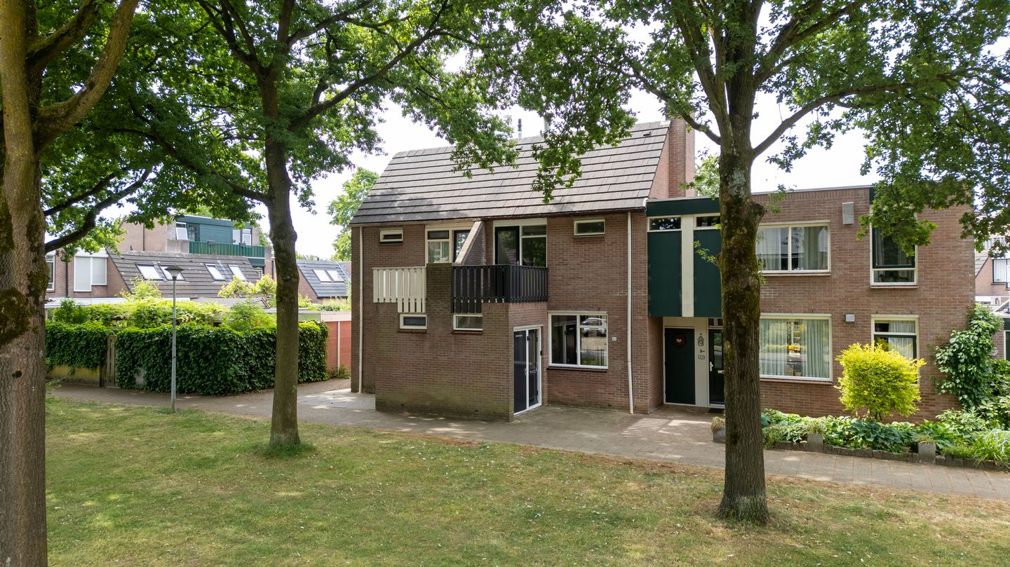 Wolborgenmate 44 main image