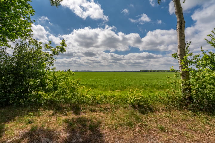 Foto 6 van Verbindingsweg 7