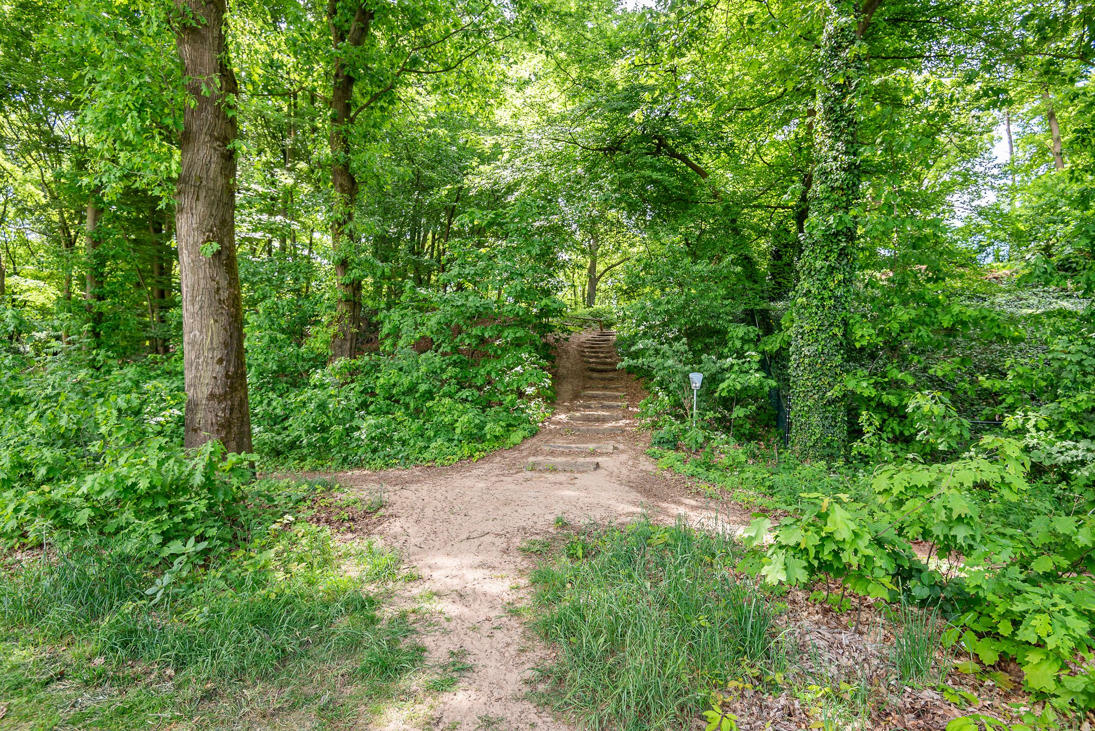 Photo 36 of Overtuin 10-A