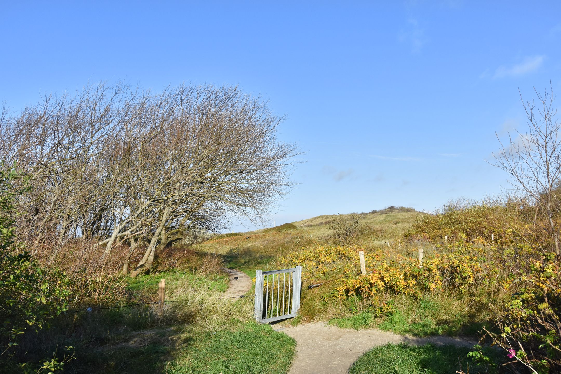 Foto 27 van Schoklandsestraat 20