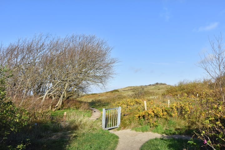 Foto 27 van Schoklandsestraat 20