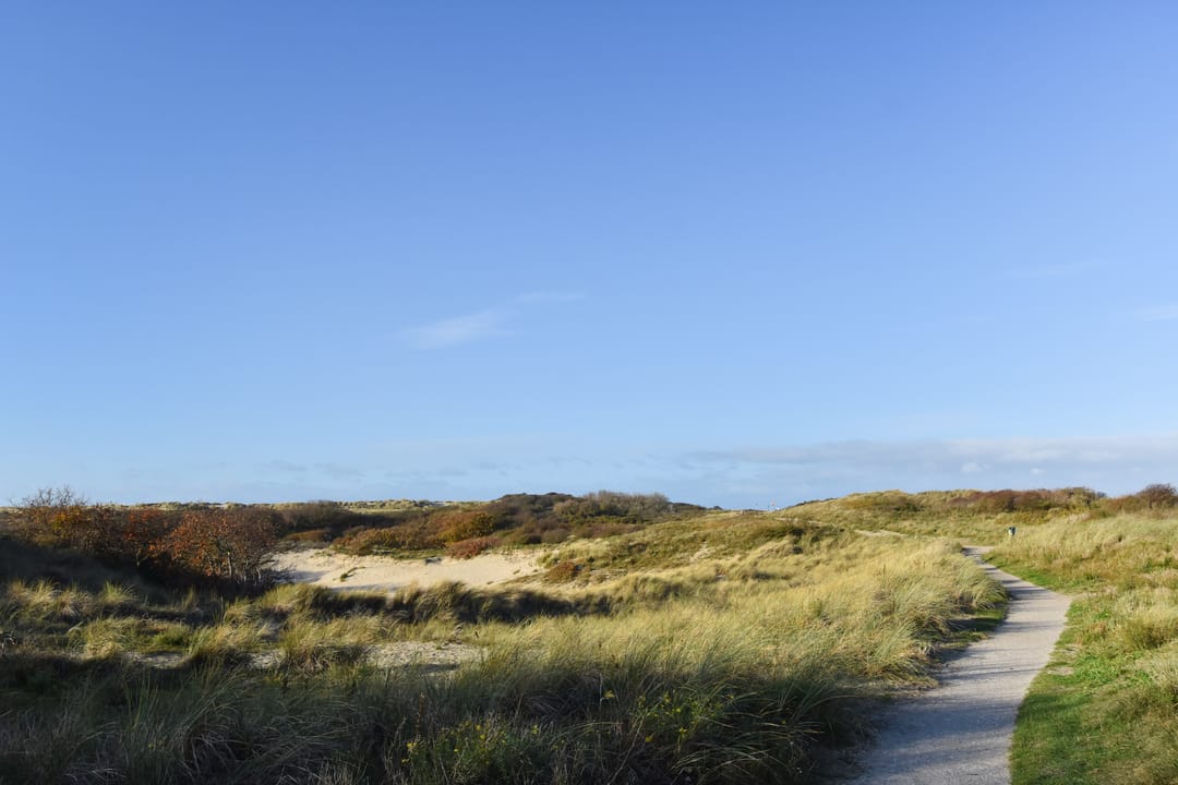 Foto 28 van Schoklandsestraat 20