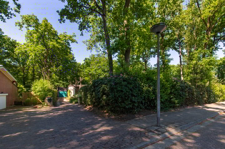 Foto 42 van Europalaan 17