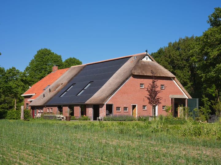 Borgweg 29