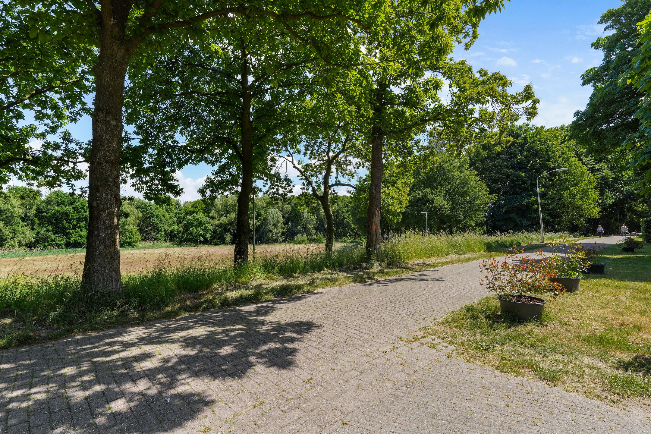 Foto 36 van Molenhoek 21