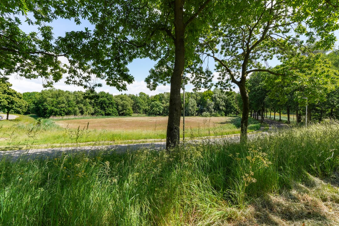 Foto 37 van Molenhoek 21