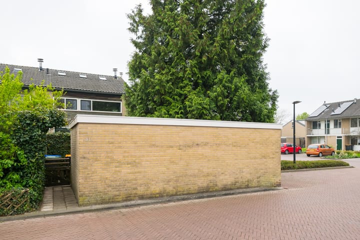 Foto 39 van Joost van den Vondelstraat 81