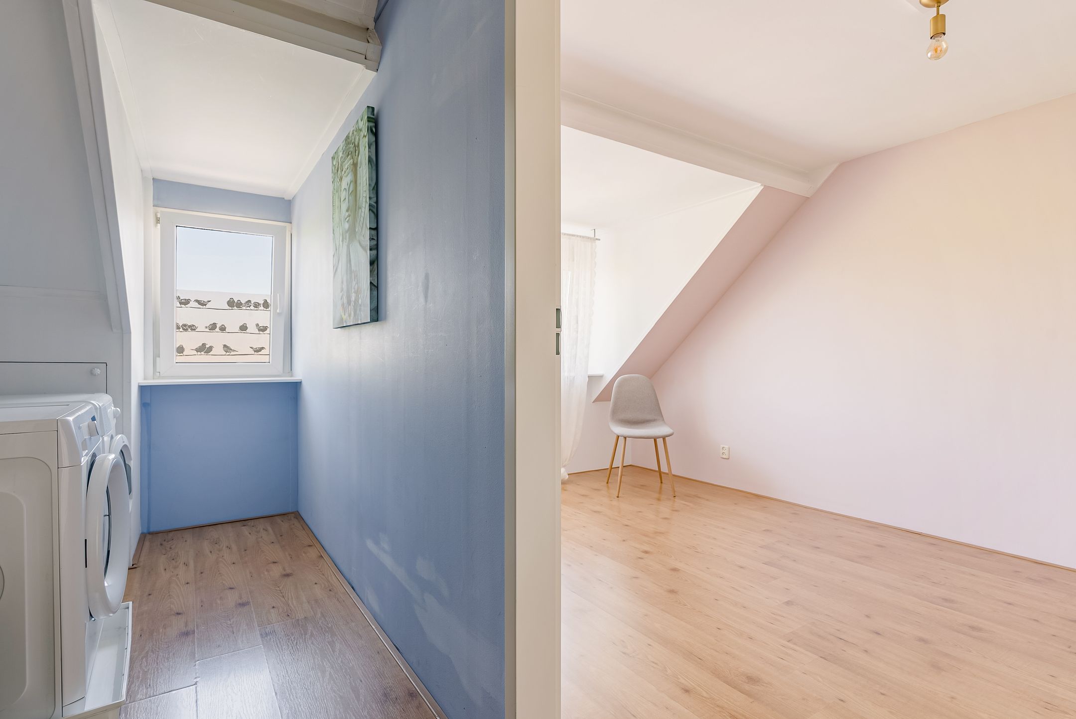 Foto 39 van Hondsdrafstraat 8