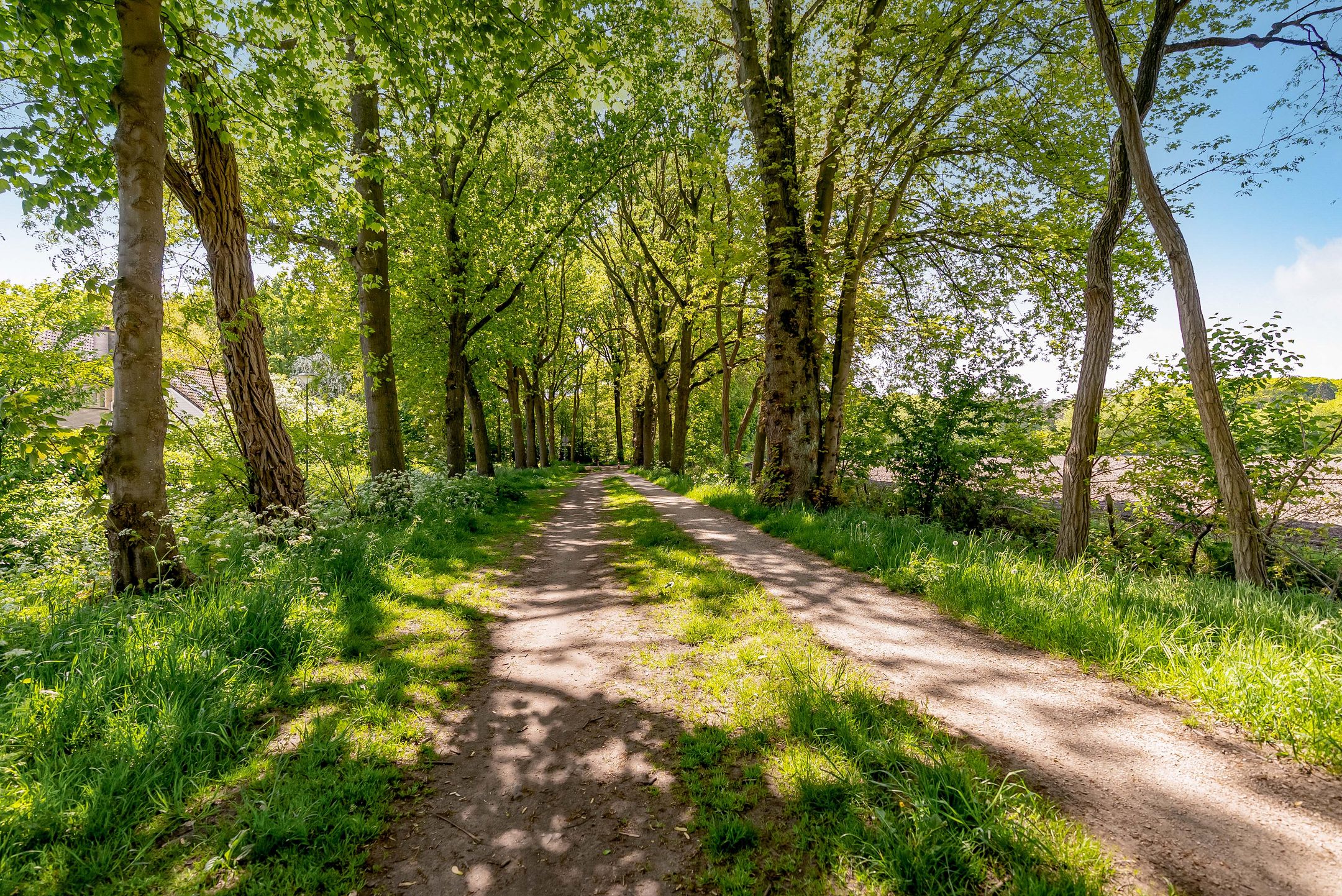 Foto 51 van Hondsdrafstraat 8