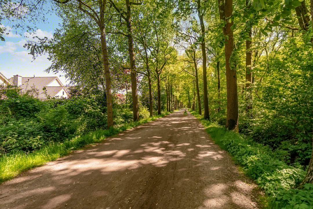 Foto 52 van Hondsdrafstraat 8