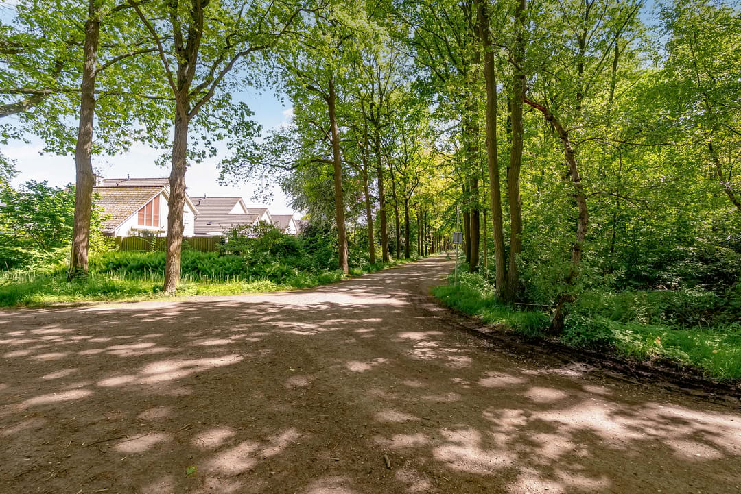 Foto 53 van Hondsdrafstraat 8