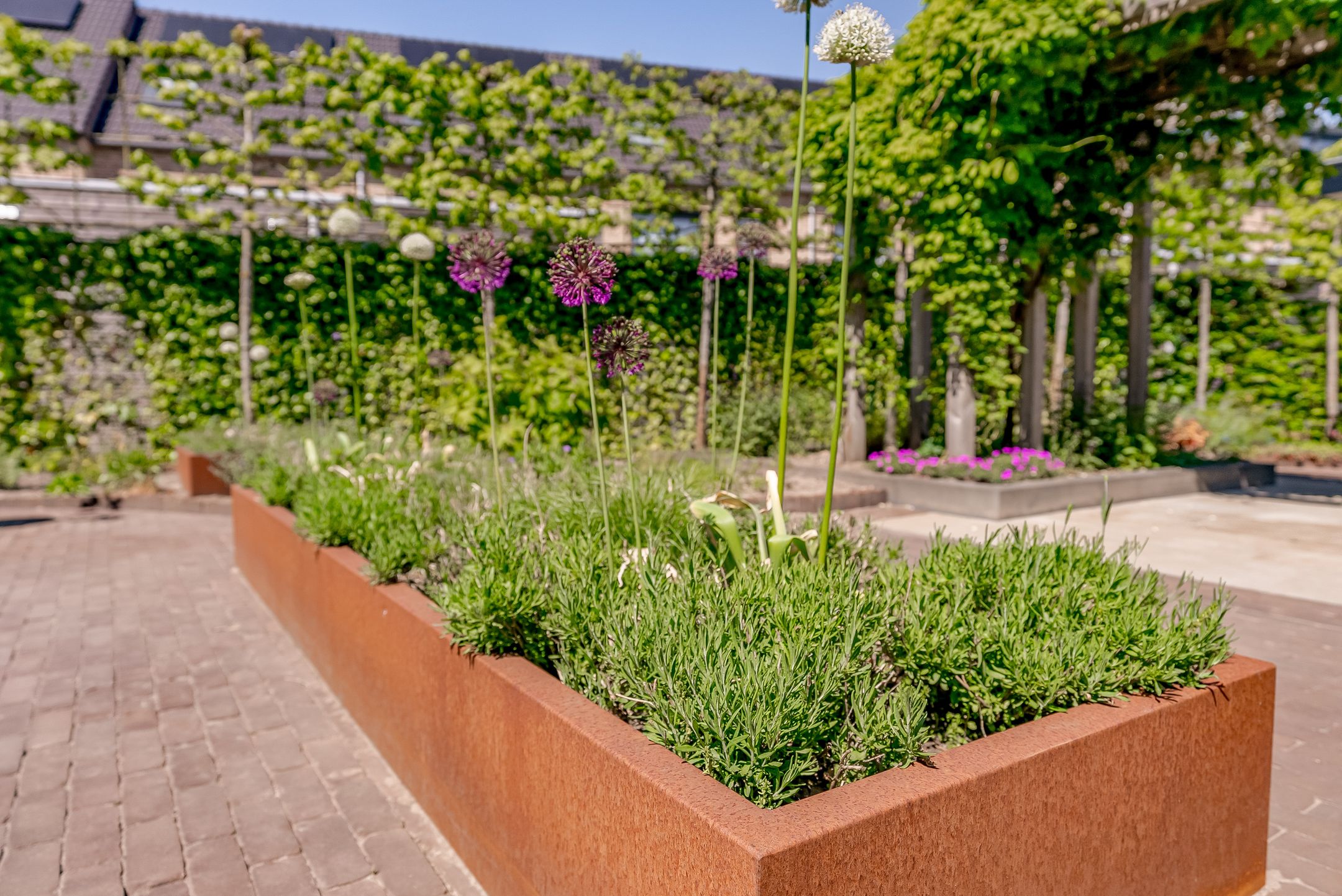 Foto 42 van Meander 22