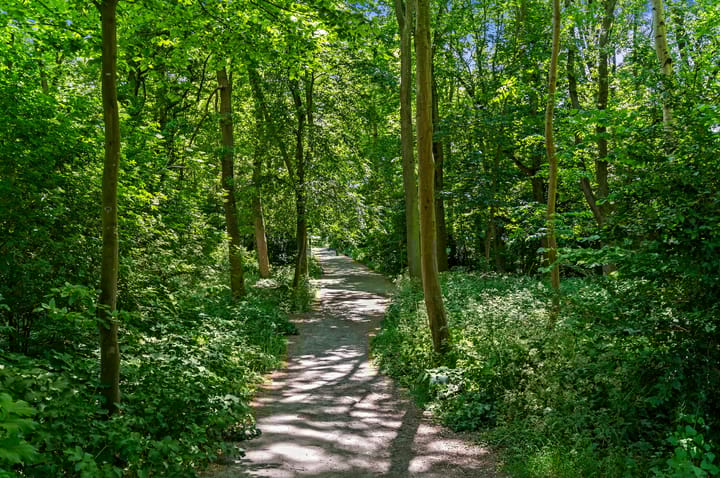 Foto 31 van De Brink 122