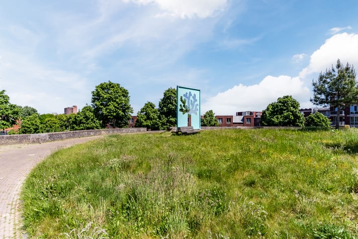 Foto 24 van Timpaanstraat 20