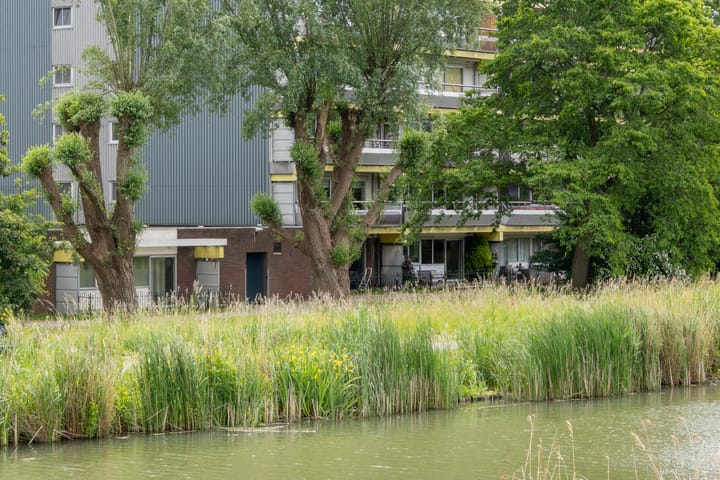 Foto 4 van Burgemeester D. Kooimanweg 265