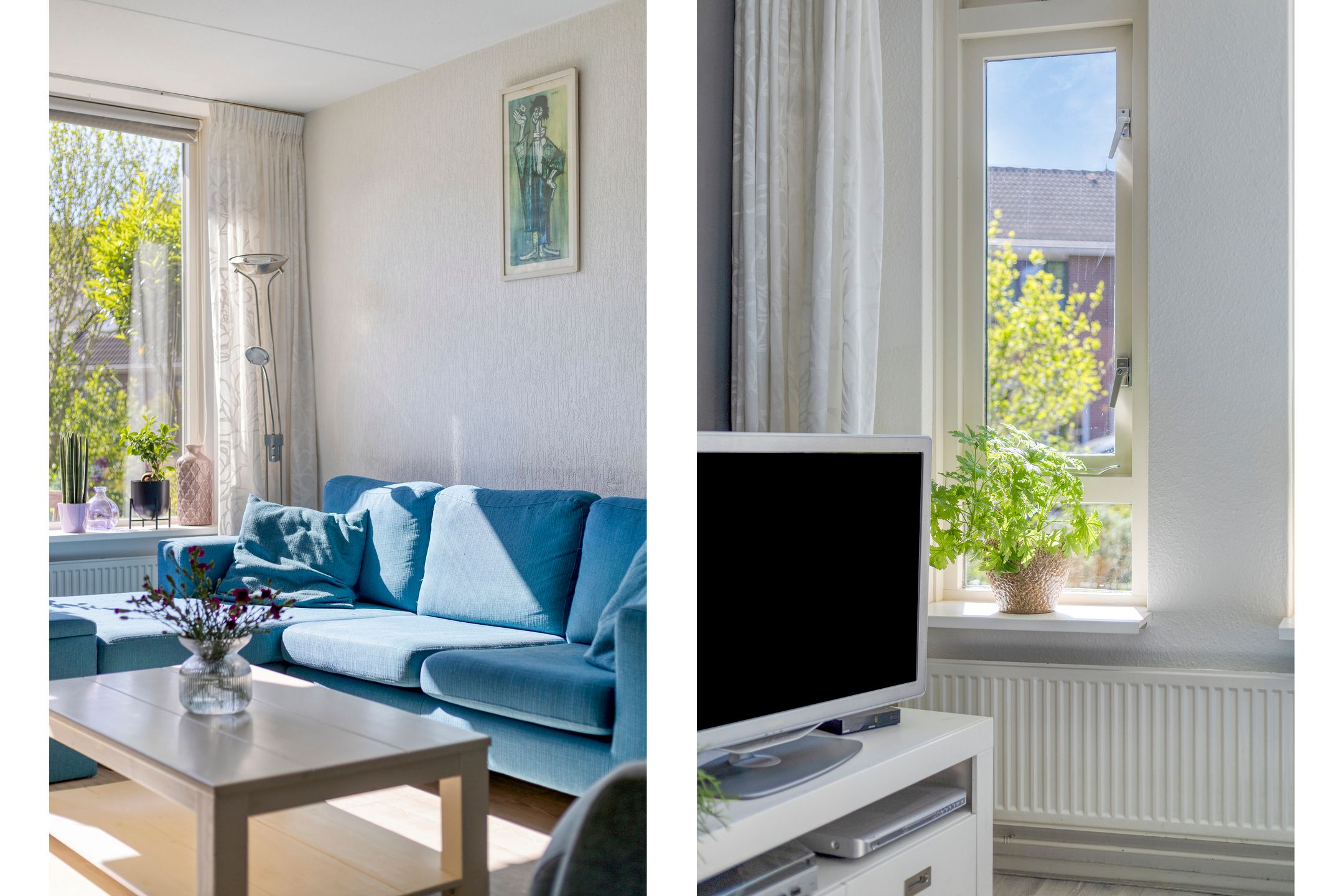 Foto 9 van Scheperij 24