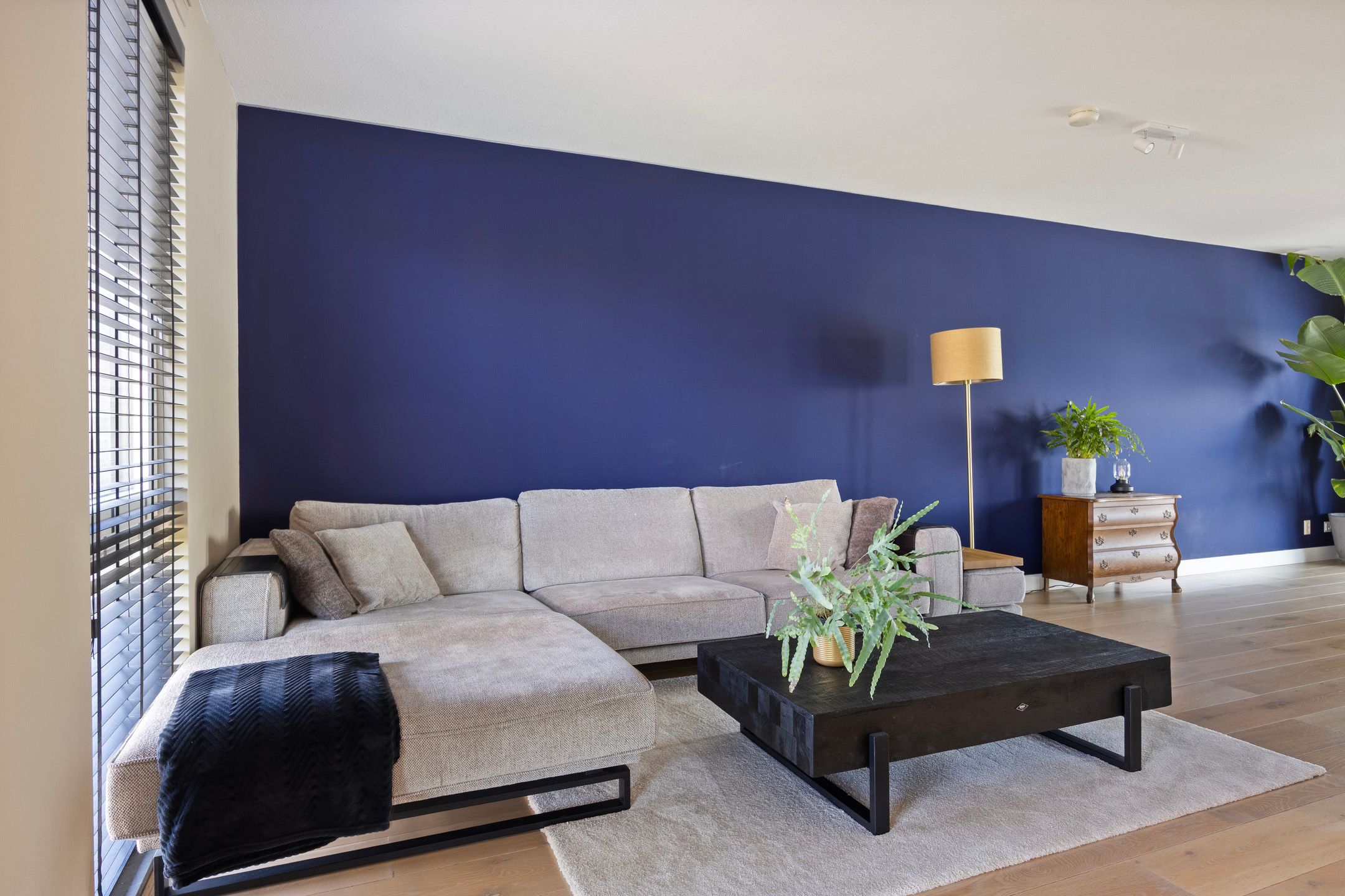 Foto 27 van Zuiderlicht 135