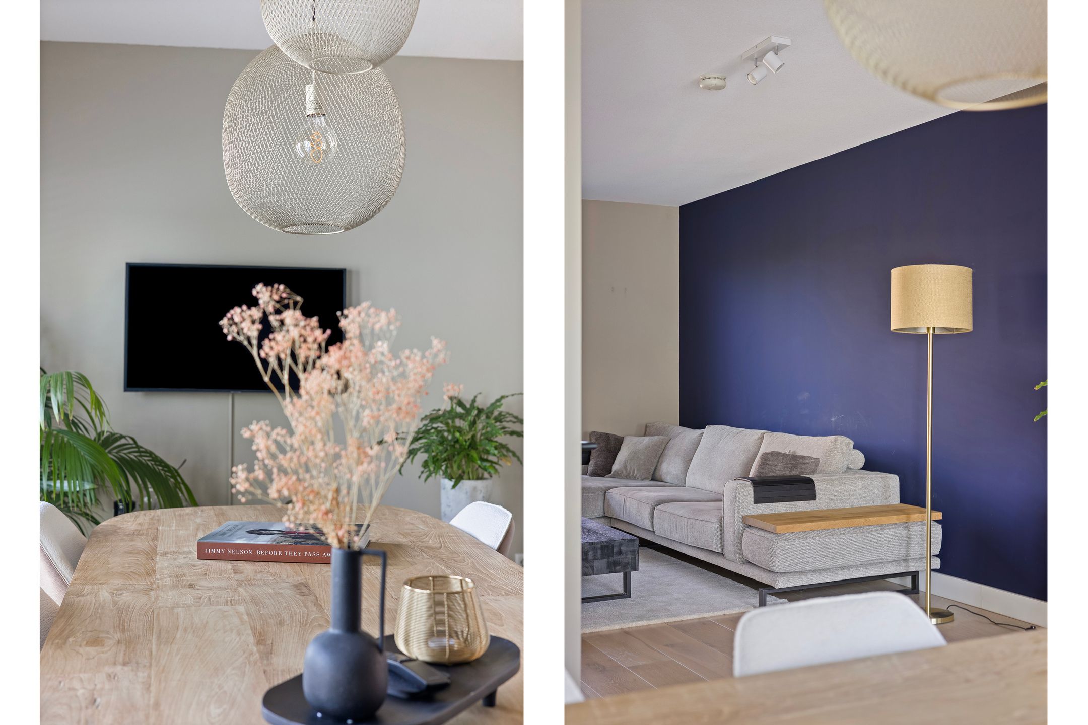 Foto 30 van Zuiderlicht 135