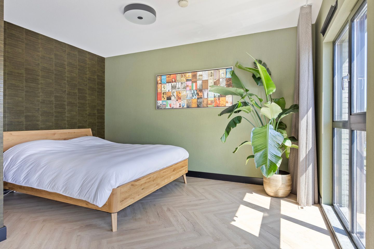 Foto 35 van Zuiderlicht 135