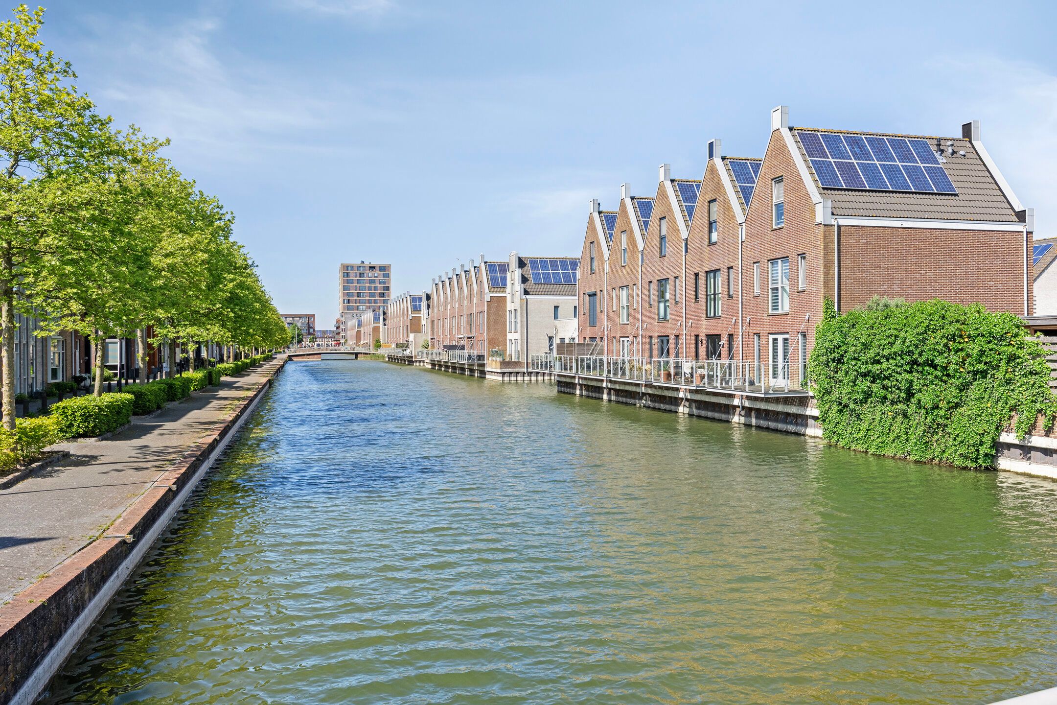 Foto 54 van Zuiderlicht 135