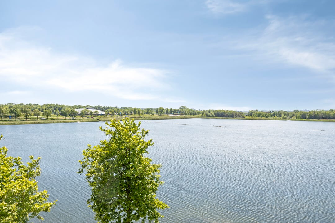 Foto 56 van Zuiderlicht 135