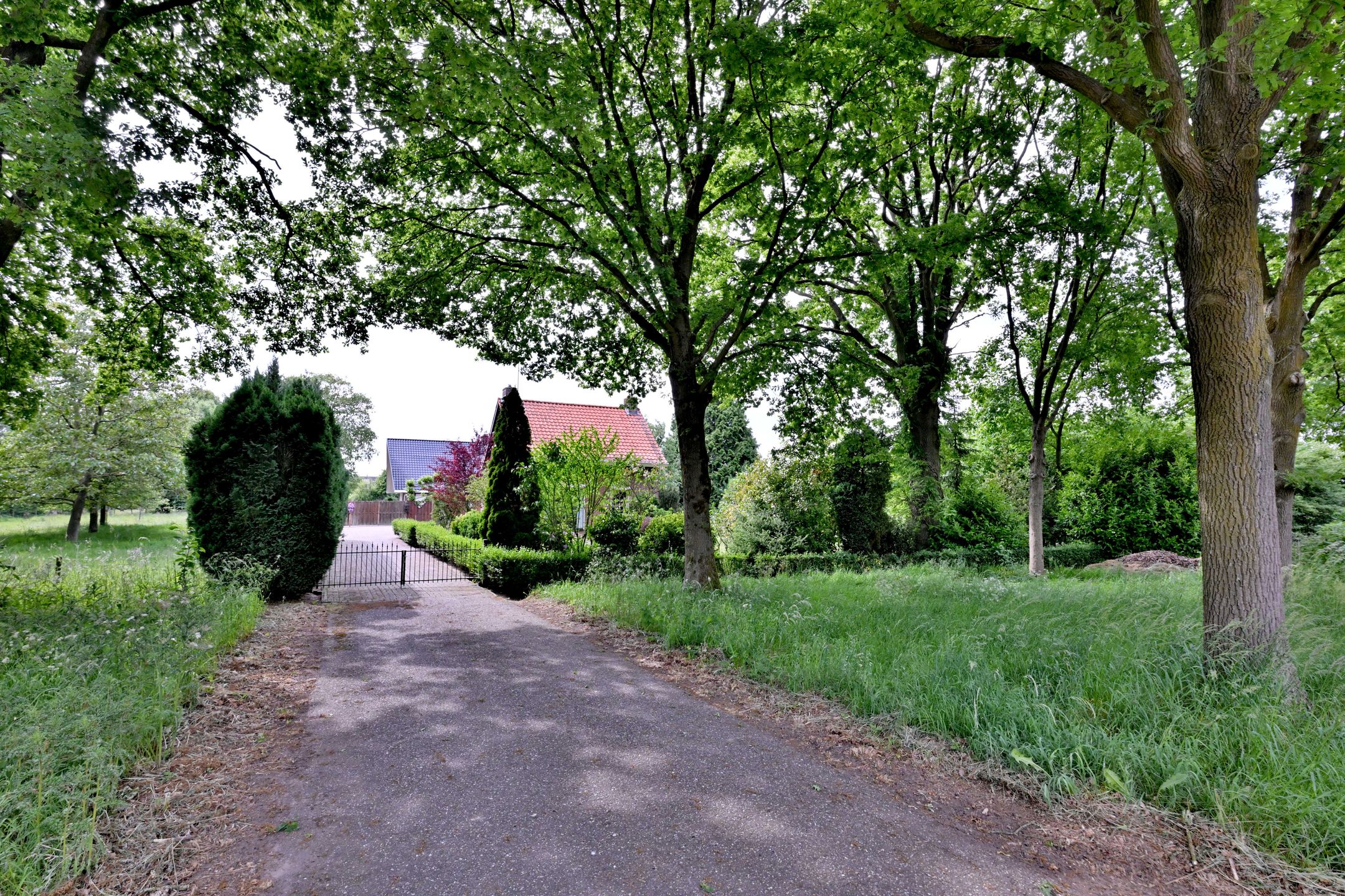 Foto 54 van Nieuwe Kerkweg 1