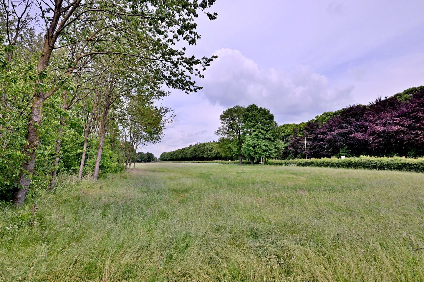 Foto 59 van Nieuwe Kerkweg 1