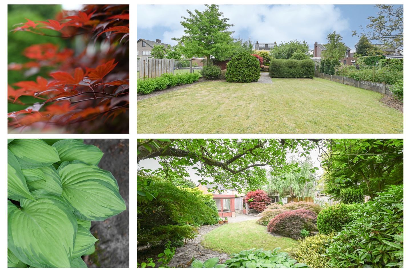 Foto 20 van Bovenstraat 32