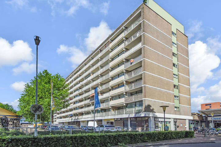 Foto 45 van Bagijnenwaard 222