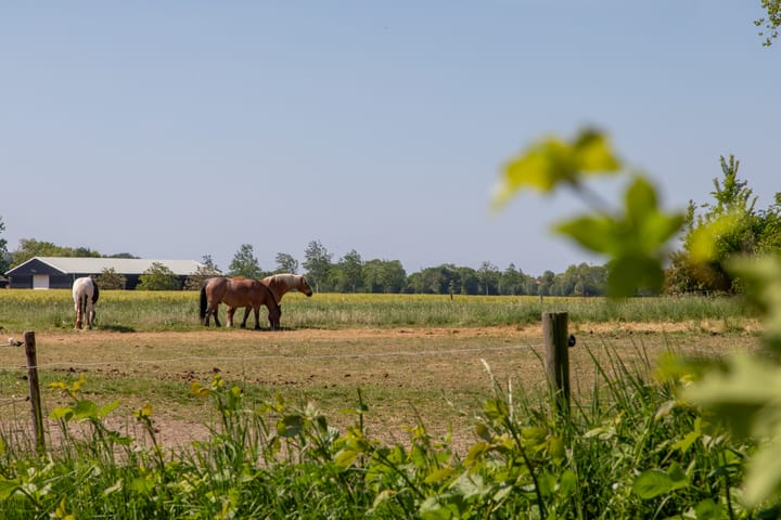 Foto 79 van Vrijburgstraat 57-C