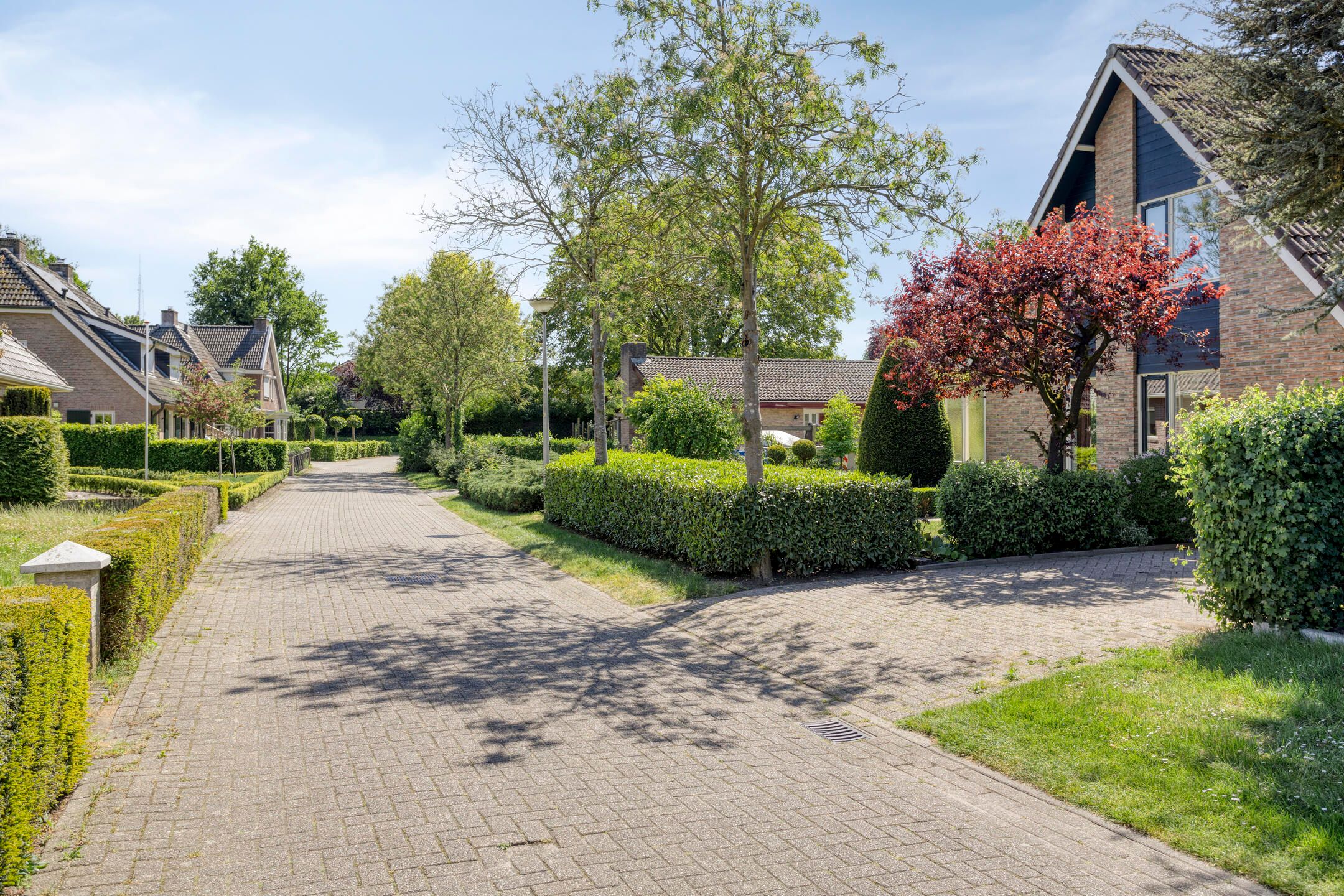 Foto 30 van Zuiderweme 3