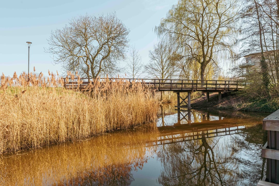 Foto 47 van Olympiadelaan 22