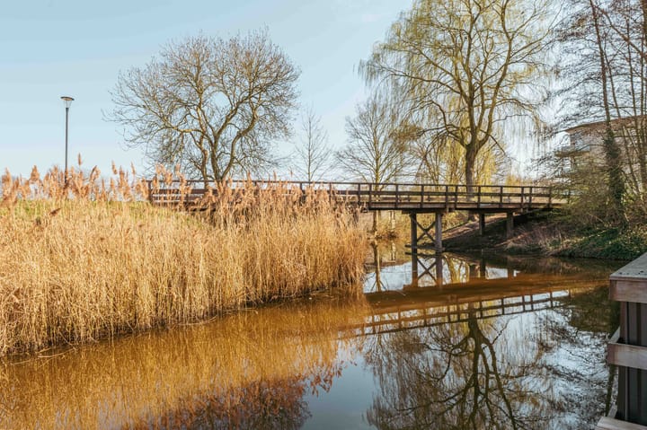 Foto 47 van Olympiadelaan 22