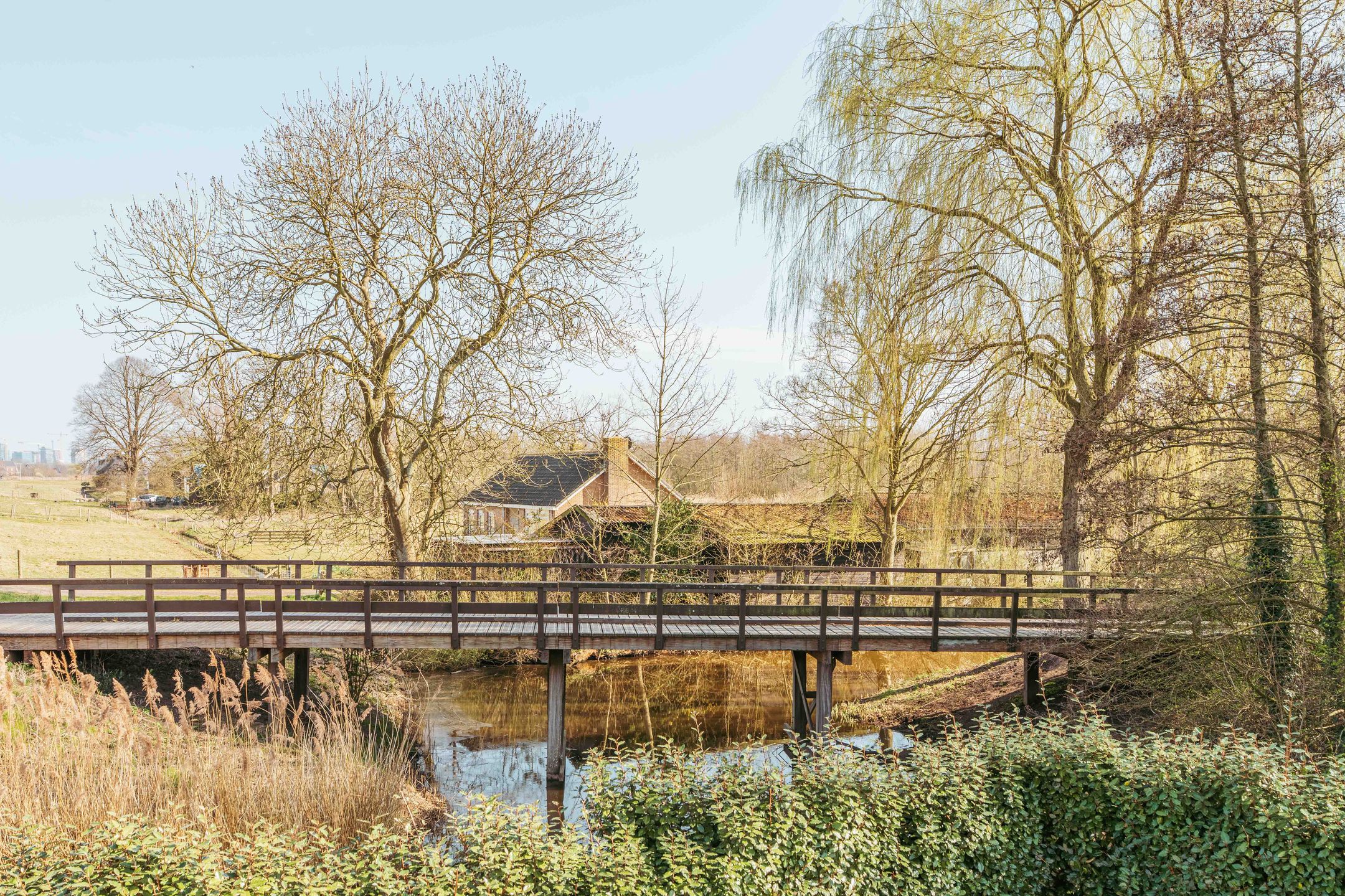 Foto 48 van Olympiadelaan 22