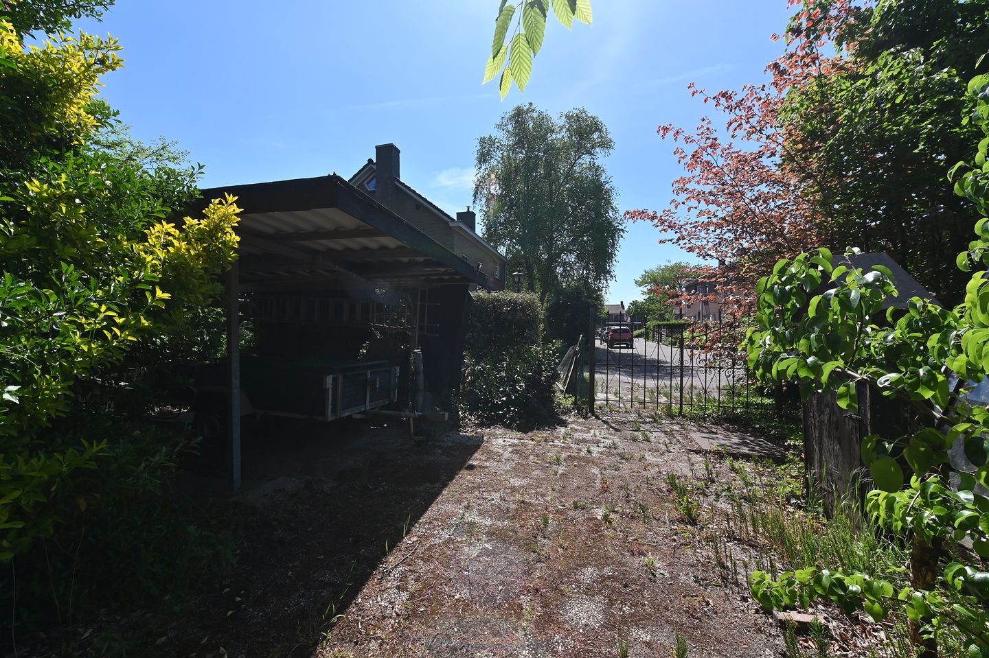 Foto 64 van Wolfend 17