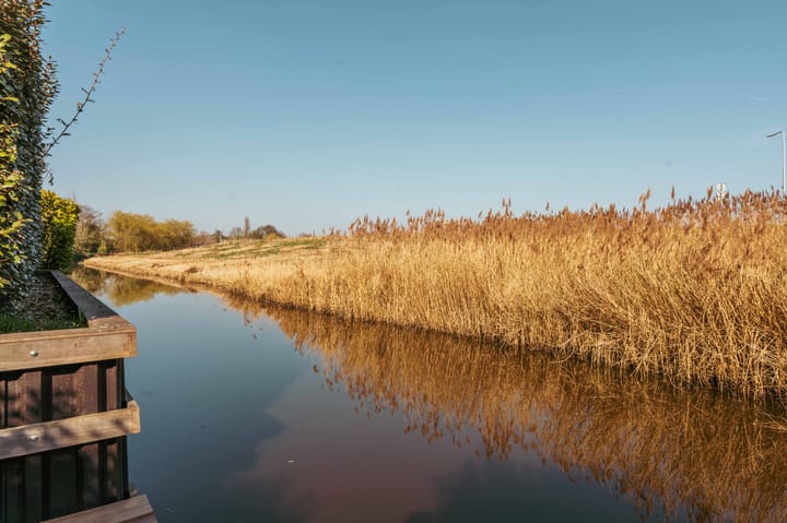 Foto 49 van Olympiadelaan 22