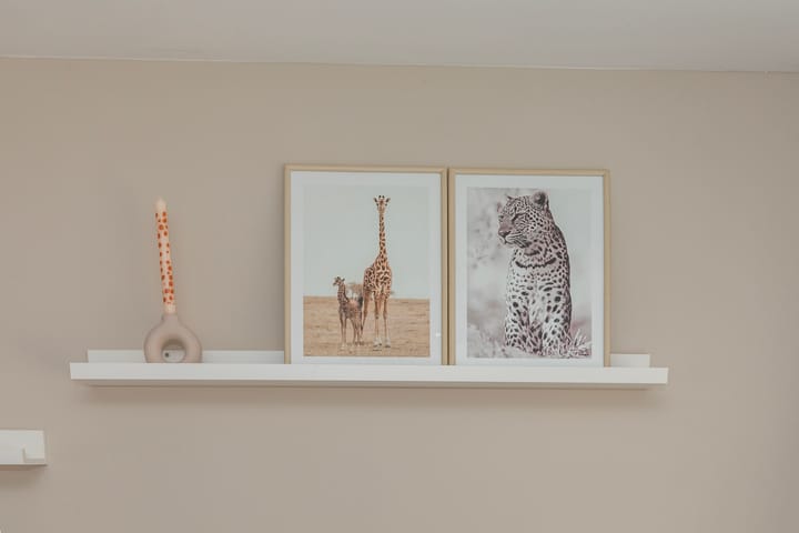 Foto 9 van Lindelaan 29