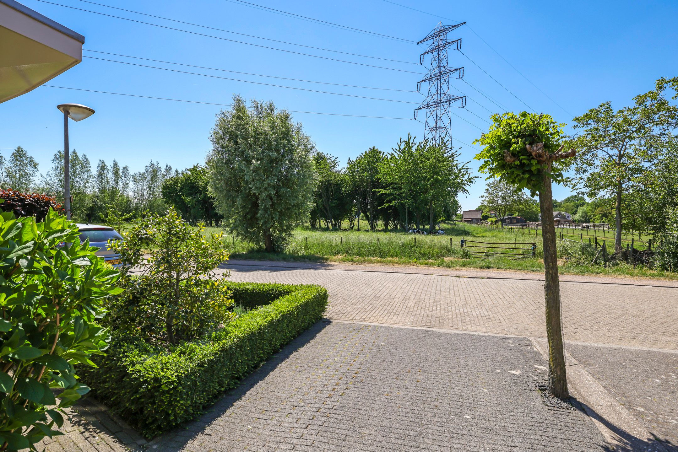 Foto 3 van Ruimoord 15